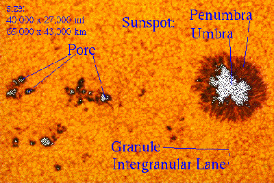 Sunspot 000.gif