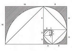 Fibonacci spiral 2.jpg